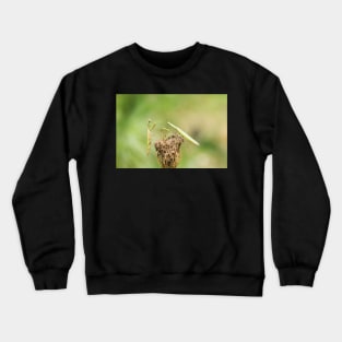 The Fight Crewneck Sweatshirt